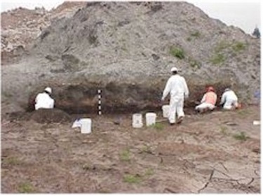 Image showing four archaeologists at the Emeryville Shellmound
