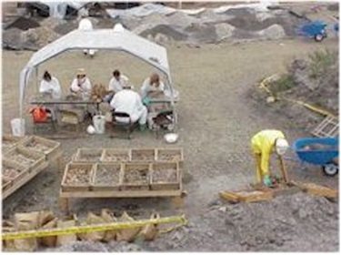 Photo of Emeryville Shellmound excavation site. A worker wearing yellow leans over trays of excavated soil sit in the foreground. In the background, five workers, in white, sit at a table under a white tent.