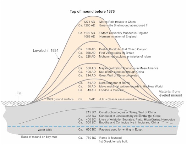 Diagram showing how the shellmound changed over time