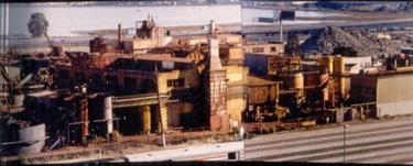 Photo showing the Emeryville shellmound site as it appeared in 1998