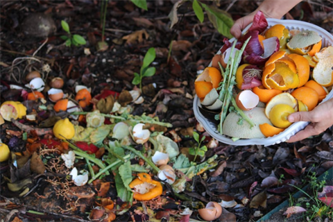 Two hands dumping a small bowl of food scraps onto a large compost pile including green vegetable scraps, onion skins, lemon and orange peels, and egg shells.