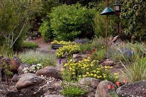 Water-Efficient-and-Bay-Friendly-Lanscaping-Image.jpg
