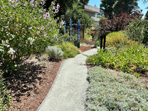 Pathway.jpg