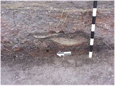 Photo with close-up of the Emeryville Shellmound excavation site. A black and white meter scale shows the height.